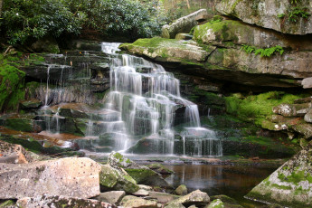 Картинка природа водопады elakala falls blackwater canyon in west virginia