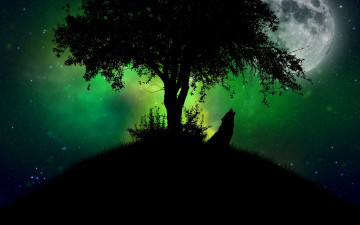 обоя рисованные, животные, волки, дерево, ночь, луна