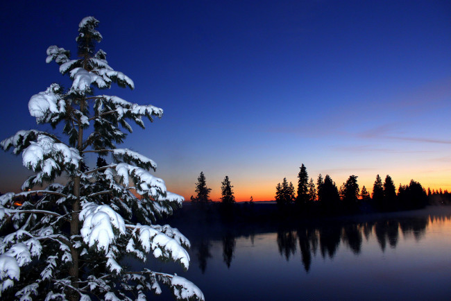 Обои картинки фото природа, деревья, река, закат, ель, снег