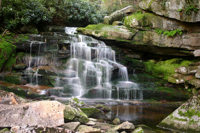 Обои картинки фото природа, водопады, elakala, falls, blackwater, canyon, in, west, virginia