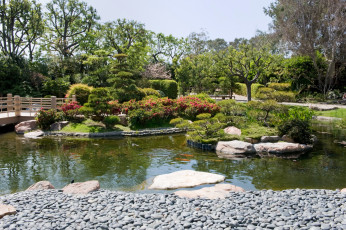Картинка earl burns miller japanese garden природа парк сад водоем растения