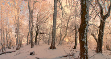 Картинка природа зима закат деревья лес пейзаж
