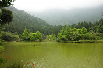 обоя тайвань, природа, реки, озера, кусты, деревья, река, парк