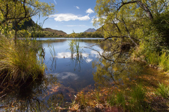 Картинка природа реки озера осока горы лес озеро