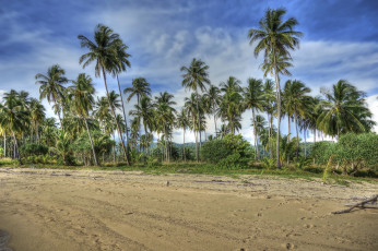 Картинка природа тропики облака пальмы пляж