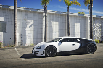 обоя bugatti veyron pur blanc, автомобили, bugatti, a, s, automobiles, франция, класс-люкс, спортивные