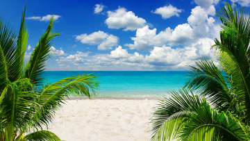 Картинка природа тропики blue море песок ocean emerald beach sunshine пляж coast paradise vacation sky sea summer пальмы tropical palm солнце океан небо берег sand