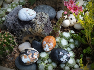 Картинка разное ремесла +поделки +рукоделие камни коты нарисованные рисунки цветы кактусы