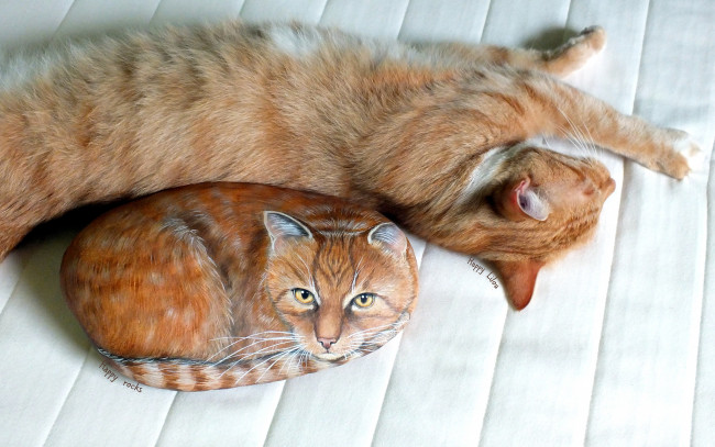 Обои картинки фото животные, коты, камень, рисунок, кот, спит, поза