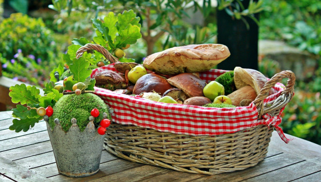 Обои картинки фото еда, грибы,  грибные блюда, корзинка, боровики, яблоки