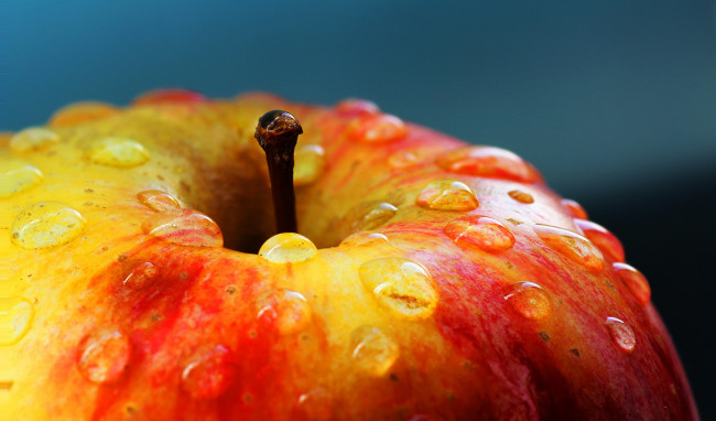 Обои картинки фото еда, Яблоки, капли, макро, плод, яблоко