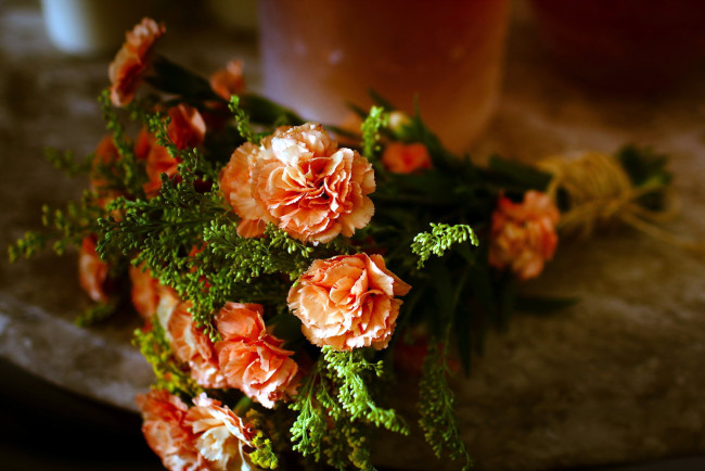 Обои картинки фото цветы, гвоздики, оранжевые, букетик