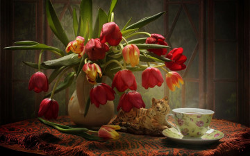 Картинка еда натюрморт цветы тюльпанов букет