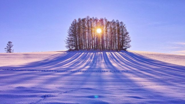 Обои картинки фото природа, зима, снег, тень, деревья, солнце, поле