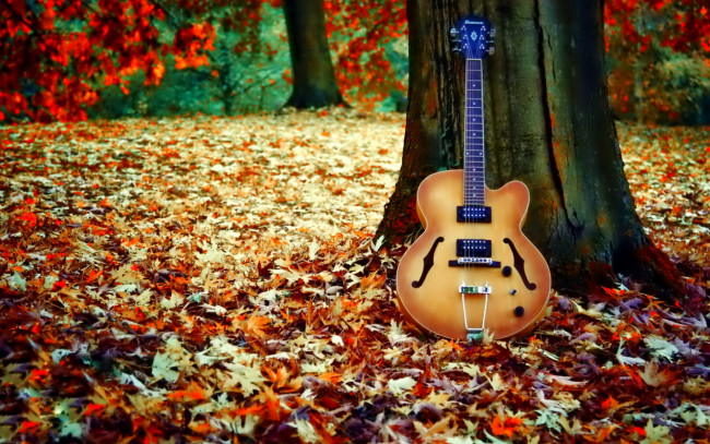 Обои картинки фото музыка, -музыкальные инструменты, осень, листья, гитара