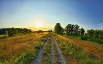 Картинка природа дороги солнце восход лето поляна
