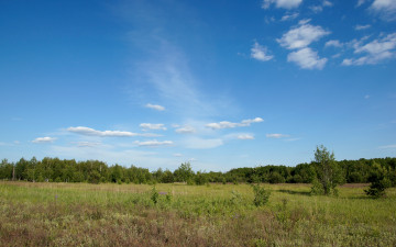 Картинка природа луга поле лес деревья трава зелень небо облака солнце лето