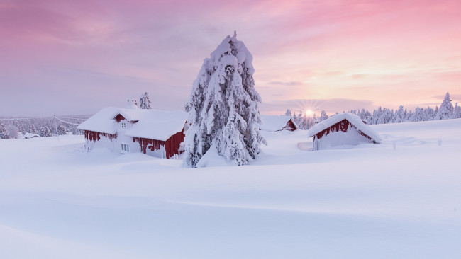 Обои картинки фото природа, зима, дома, ель, солнце, снег, норвегия