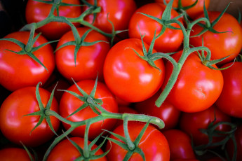 Картинка еда помидоры много томаты
