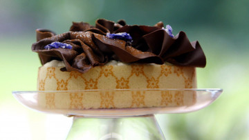 Картинка еда торты цветы шоколадные