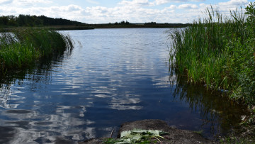 Картинка природа реки озера озеро облака камыш