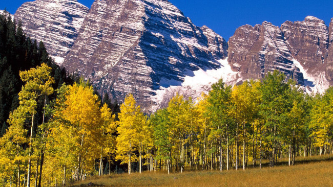 Обои картинки фото природа, горы, деревья, осень, скалы, снег