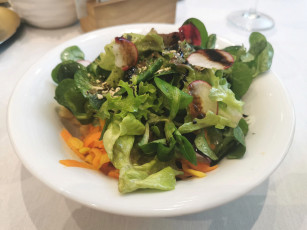 Картинка еда салаты +закуски овощной салат