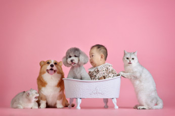 Картинка разное люди кошки собаки ребенок