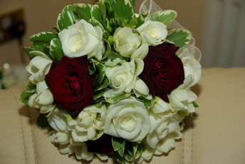 Картинка цветы букеты композиции букет белые розы красные