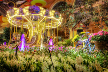 Картинка las vegas разное карусели качели аттракционы отель hotel лас-вегас велосипед карусель цветы гиацинты тюльпаны