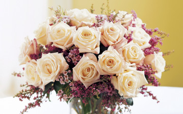Картинка цветы букеты композиции букет розы кремовые