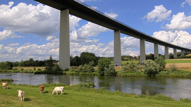 Обои картинки фото города, мосты, мост, коровы, река