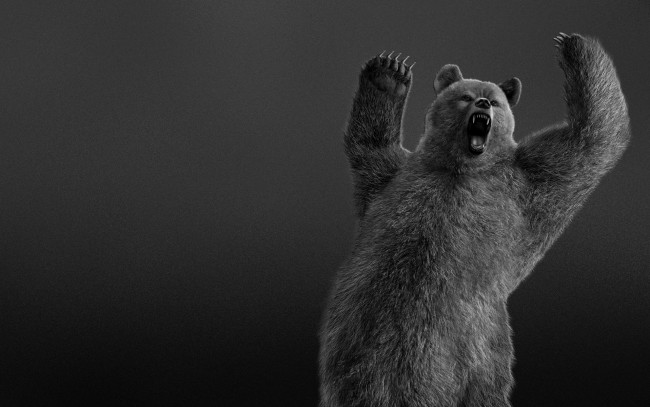 Обои картинки фото медведь, рычит, 3д, графика, animals, животные, мохнатый, когти, черно-белый
