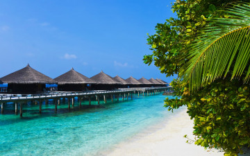 Картинка stunning tropical beach bungalows природа тропики бунгало пальма пляж океан