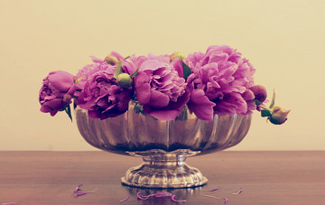 Картинка цветы пионы розовый ваза