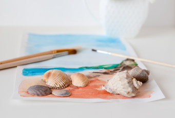 Картинка разное ракушки +кораллы +декоративные+и+spa-камни рисунок