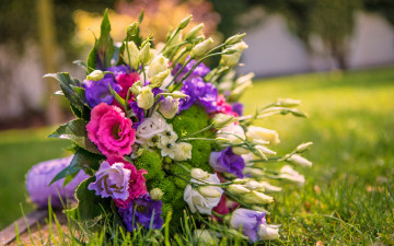 Картинка цветы букеты +композиции flowers bouquet wedding bride свадьба букет roses