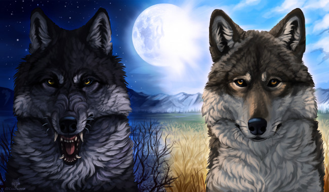 Обои картинки фото рисованное, животные,  волки, волки, луна, фон, взгляд