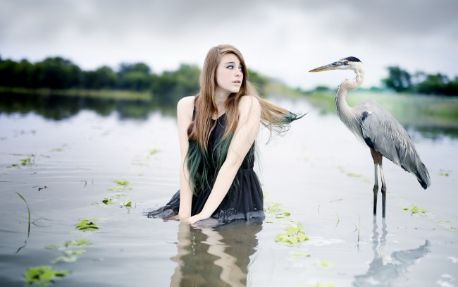 Обои картинки фото девушки, -unsort , креатив, вода, птица, девушка