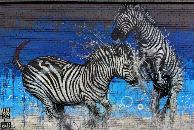 Обои картинки фото разное, граффити, graffiti, зебры, стена, краски