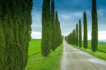 Картинка природа дороги италия дорога тучи поле деревья тоскана небо кипарисы