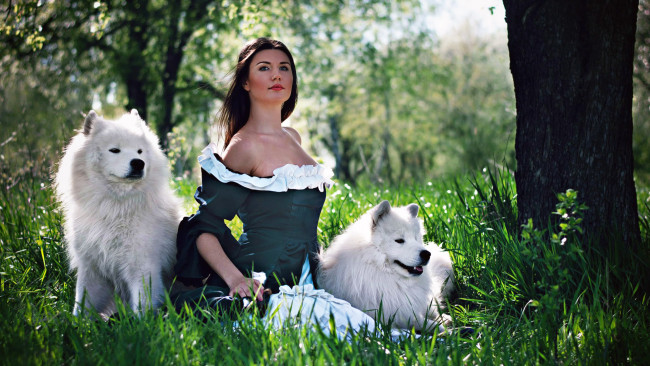 Обои картинки фото девушки, -unsort , брюнетки,  шатенки, собаки, дерево, трава, самоедская собака, самоед