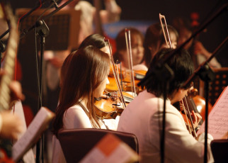 Картинка музыка -другое люди девушка оркестр скрипка