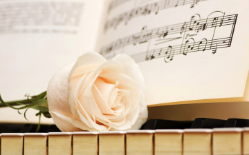 обоя музыка, -музыкальные инструменты, клавиши, цветок, роза, ноты