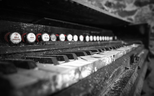 Обои картинки фото музыка, -музыкальные инструменты, орган, клавиши