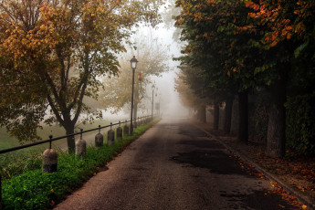 обоя природа, дороги, шоссе, фонари, осень, туман