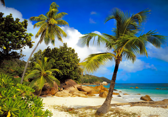 Обои картинки фото seychelles, природа, тропики