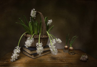 обоя цветы, гиацинты, книги, корзинка, белые