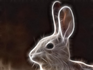 Картинка 3д графика animals животные заяц