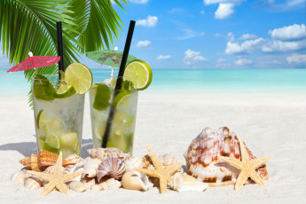 Картинка еда напитки +коктейль пальма пляж palm море beach лайм котейль морская звезда ракушки sea lime total starfish shells